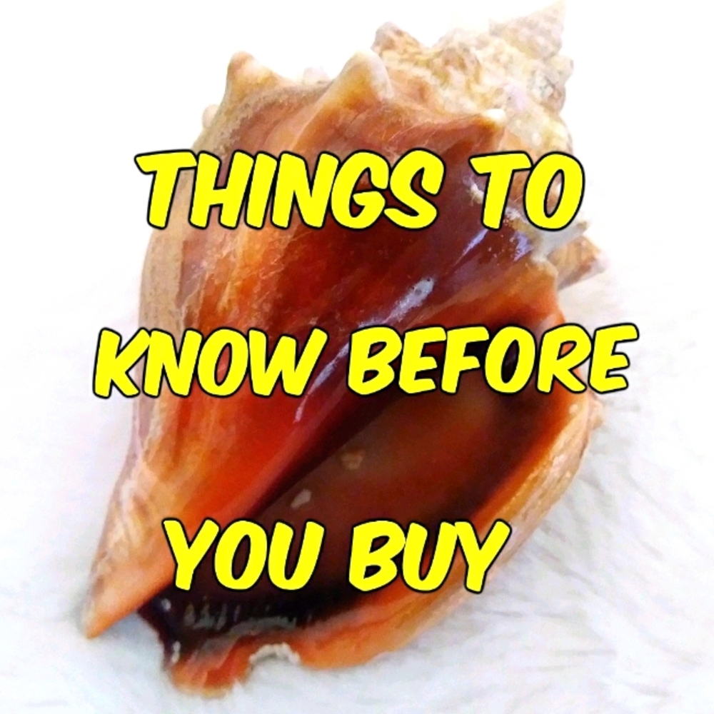 Things to know